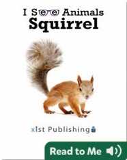 I See Animals: Squirrel