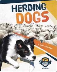Canine Athletes: Herding Dogs