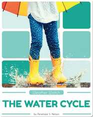 Weather Watch: The Water Cycle