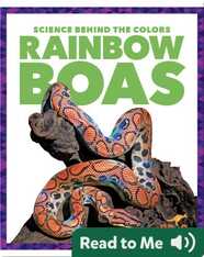 Science Behind the Colors: Rainbow Boas