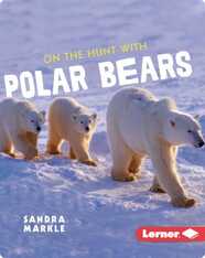 Ultimate Predators: On the Hunt with Polar Bears