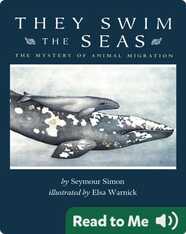 They Swim The Seas: The Mystery of Animal Migration