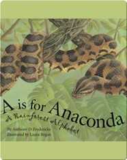 A is For Anaconda: A Rainforest Alphabet