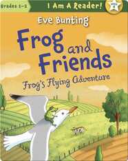 Frog and Friends: Flying Adventure