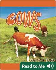 Cows On The Farm
