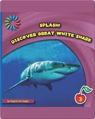 Discover Great White Sharks