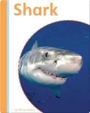 Shark