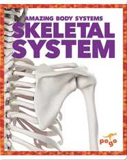 Amazing Body Systems: Skeletal  System