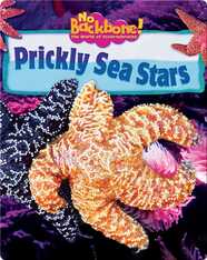 Prickly Sea Stars