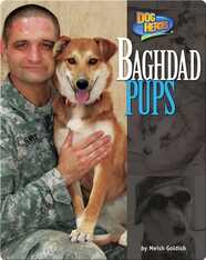 Baghdad Pups