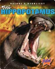 The Hippopotamus