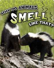 Why Do Animals Smell Like That?