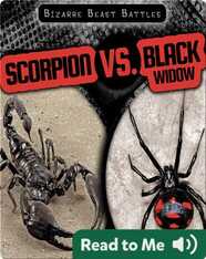 Scorpion vs. Black Widow