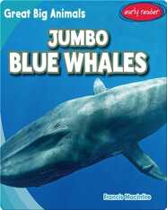 Jumbo Blue Whales