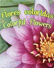Flores Coloridas  (Colorful Flowers)