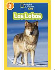 National Geographic Readers: Los Lobos (Wolves)