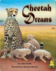 Cheetah Dreams