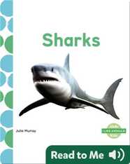 Sharks
