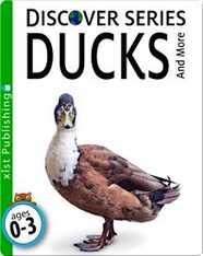 Ducks