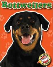 Rottweilers: Dog Breeds