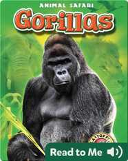 Gorillas: Animal Safari