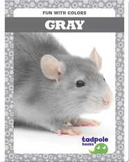 Fun with Colors: Gray