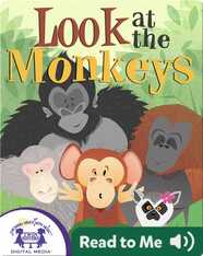 Look at the Monkeys
