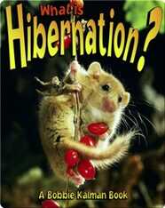 What is Hibernation?
