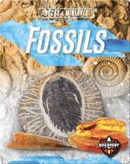 Fossils