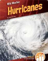 Hurricane Book by Jessica Rudolph | Epic