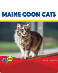 Main Coon Cats