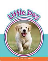 Learning Sight Words: Little Dog