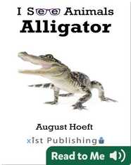 I See Animals: Alligator
