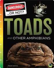 Dangerous...or Not?: Toads and Other Amphibians