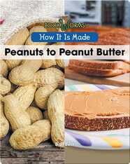 How It Is Made: Peanuts to Peanut Butter