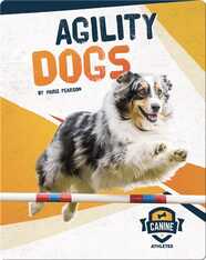 Canine Athletes: Agility Dogs