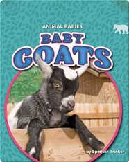 Animal Babies: Baby Goats