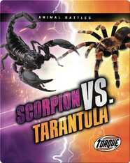 Animal Battles: Scorpion vs. Tarantula