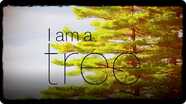 I Am A Tree
