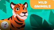 Animal Vocabulary: Wild Animals