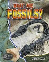 What Are Fossils? (Let's Rock!)