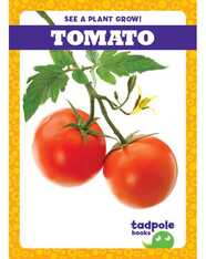 See a Plant Grow!: Tomato