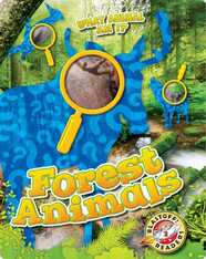 What Animal Am I?: Forest Animals