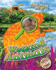 What Animal Am I?: Wetland Animals