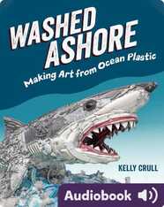 Washed Ashore: Making Art from Ocean Plastic