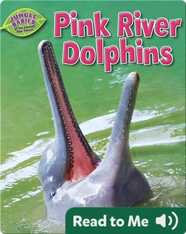 Pink River Dolphins