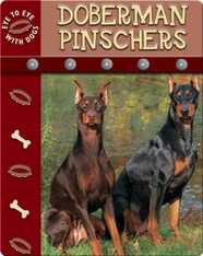 Eye To Eye With Dogs: Doberman Pinschers
