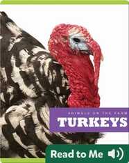Turkeys