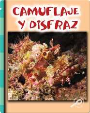 Camuflaje y disfraz (Camouflage and Disguise)