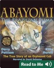 Abayomi, the Brazilian Puma